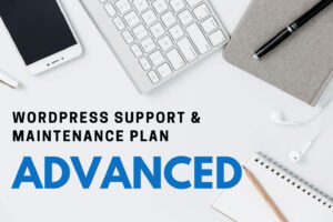 WordPress Support and Maintenance - advanced - Digital Design Canvas