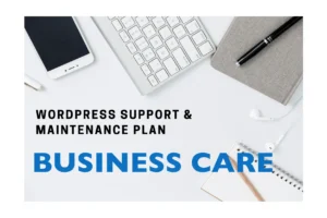 Business Care Wordpress Support